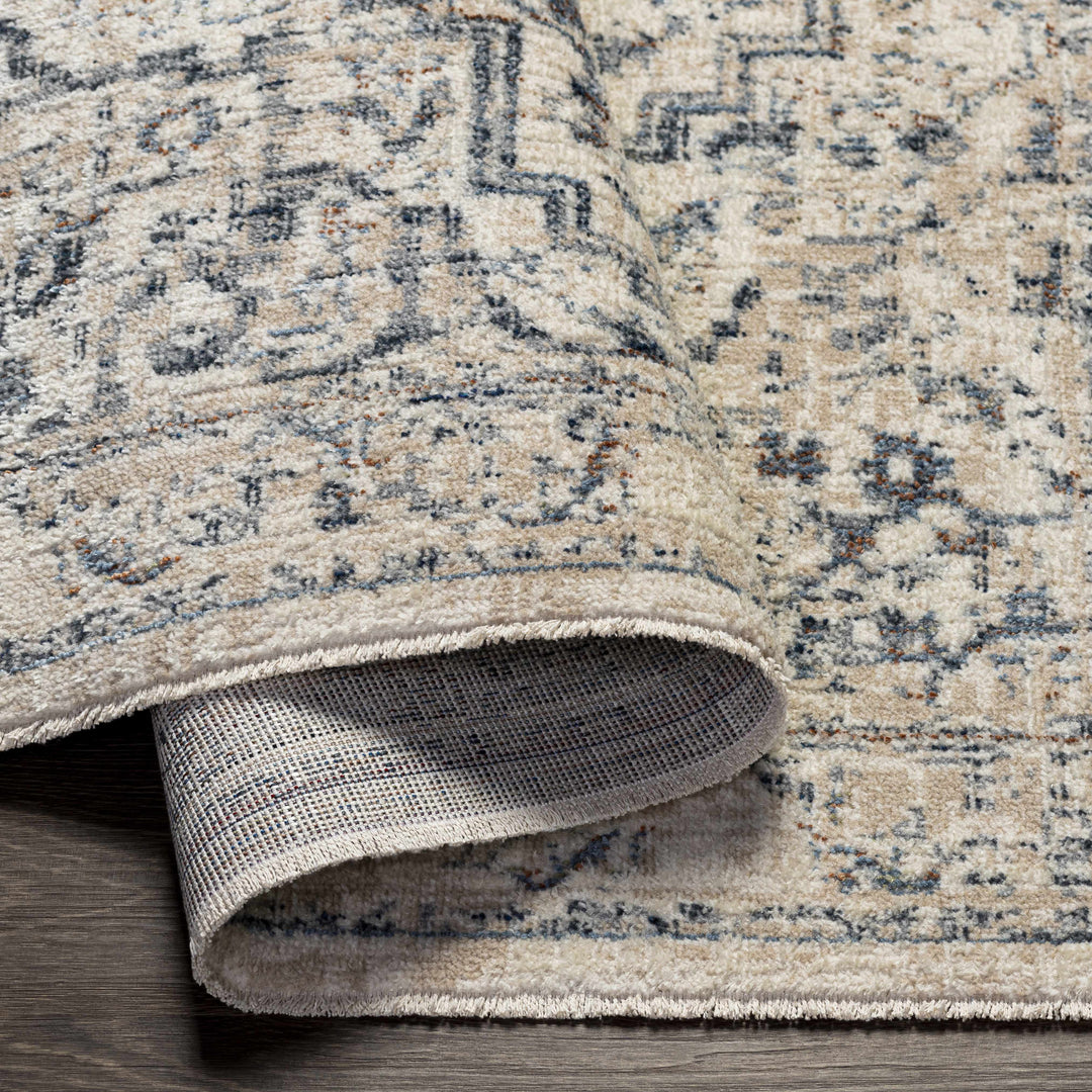 Buguey Traditional Medallion Design Beige And Gray Area Rug