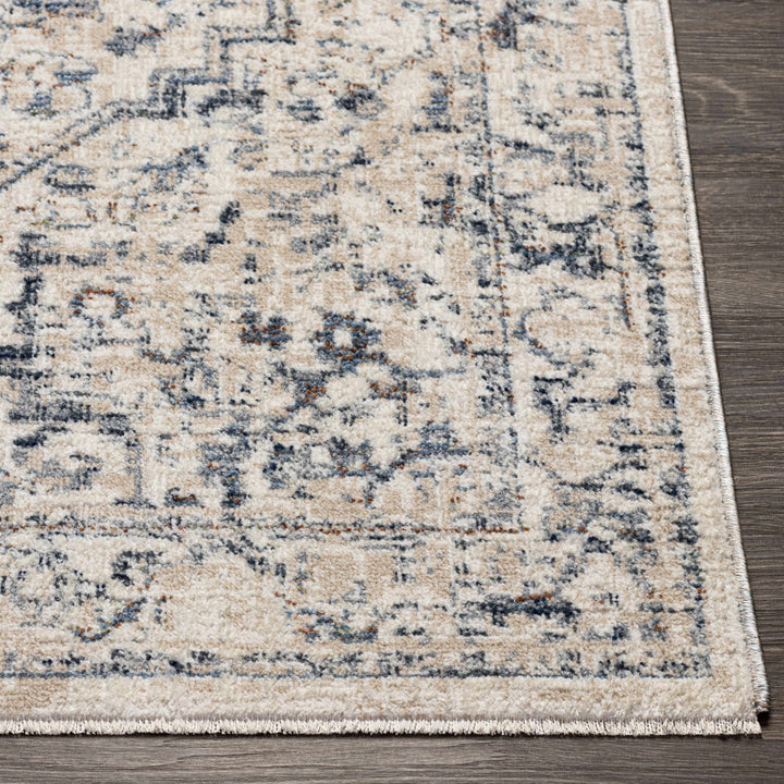 Buguey Traditional Medallion Design Beige And Gray Area Rug