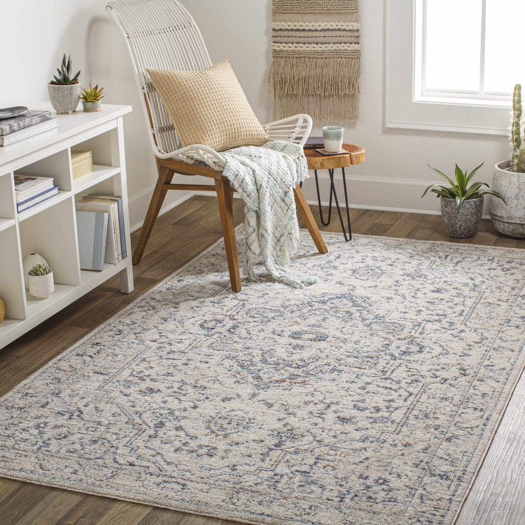 Buguey Traditional Medallion Design Beige And Gray Area Rug