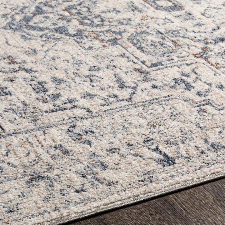 Buguey Traditional Medallion Design Beige And Gray Area Rug
