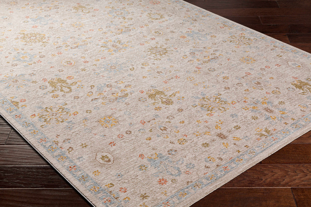 Burcu Traditional Oushak Design Beige And Gray Area Rug