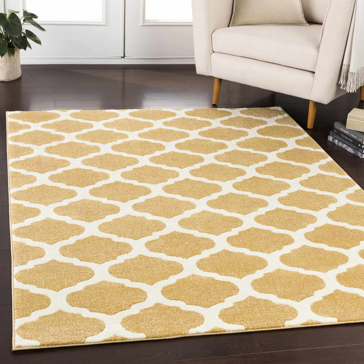 Burkettsville Modern Style Beige And White Area Rug - The Rug Decor