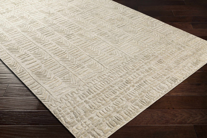 Burlington Modern Style Beige Hand Loomed Area Rug - The Rug Decor