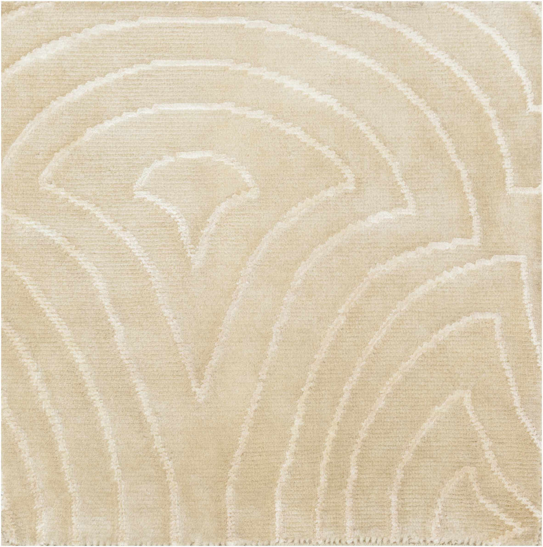 Burnwell Contemporary Style Beige Hand Knotted Area Carpet