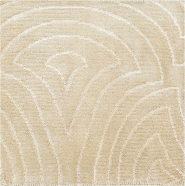 Burnwell Contemporary Style Beige Hand Knotted Area Carpet