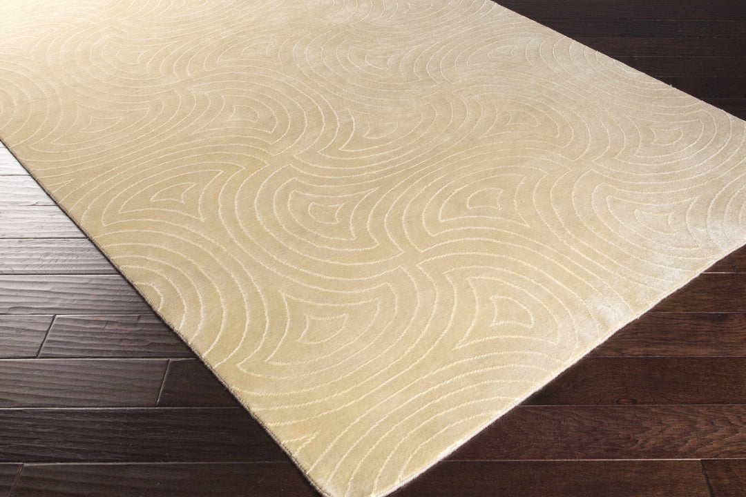 Burnwell Contemporary Style Beige Hand Knotted Area Carpet