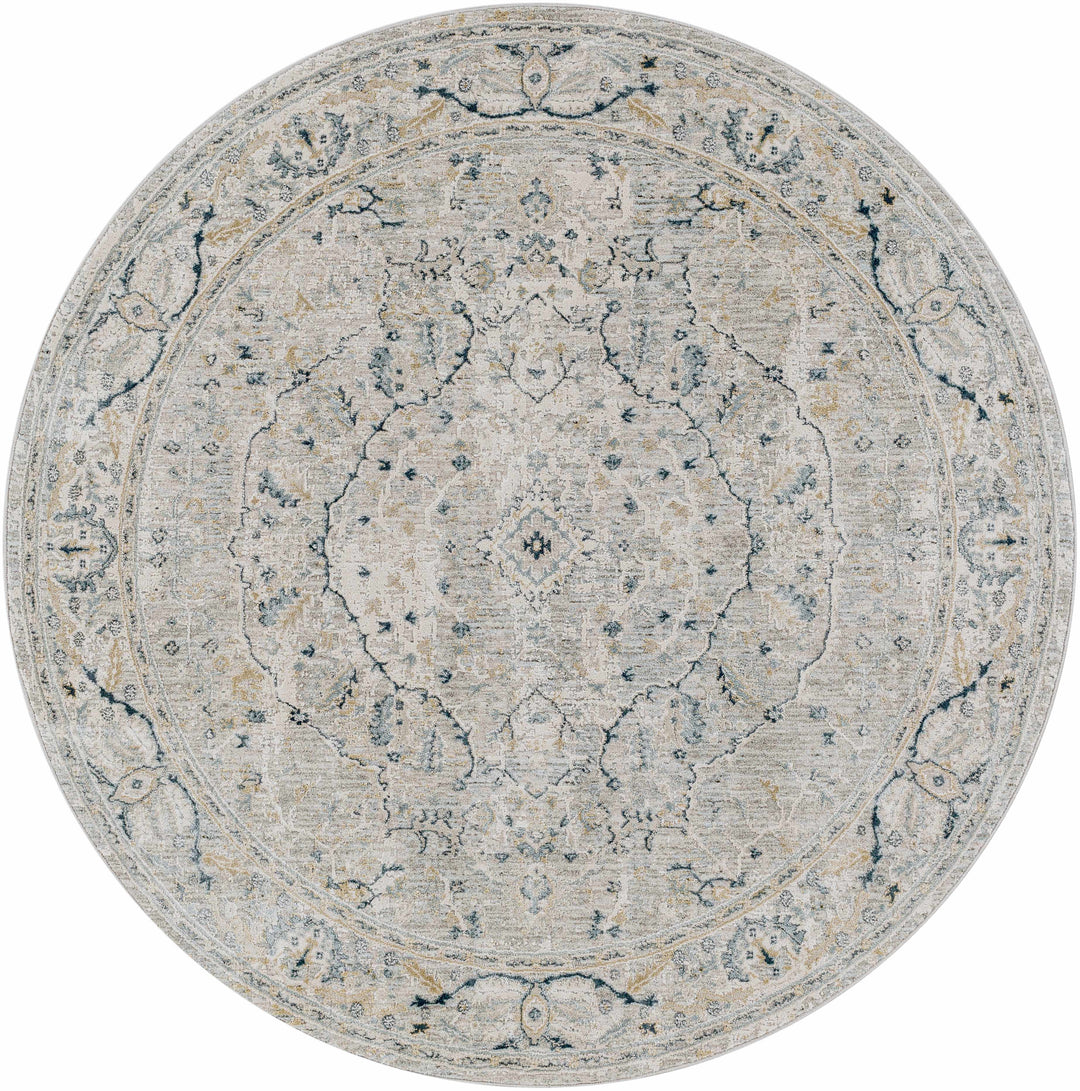 Bushnell Traditional Style Gray And Taupe Area Rug