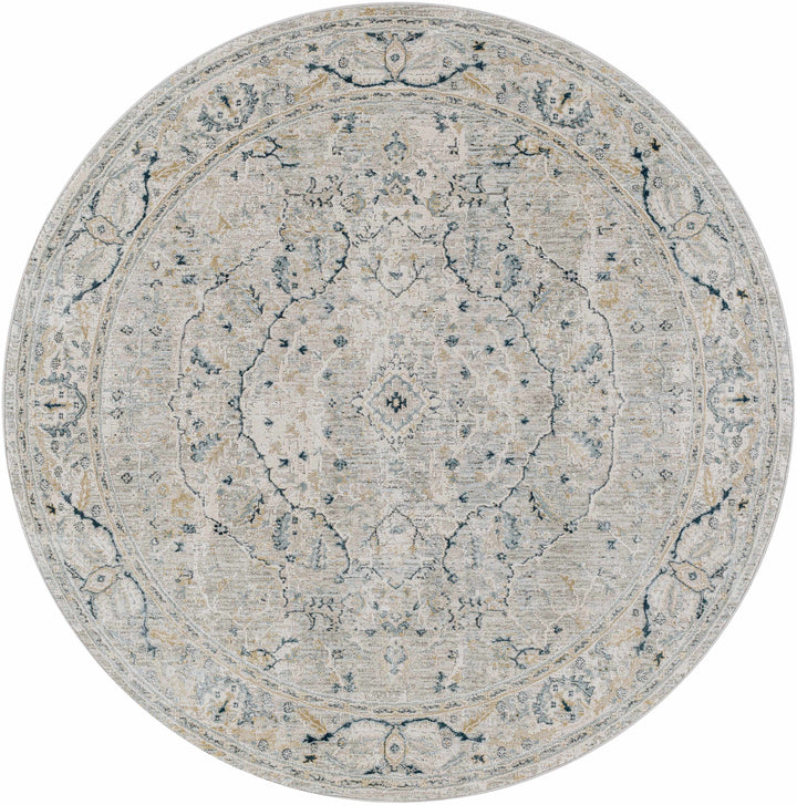 Bushnell Traditional Style Gray And Taupe Area Rug