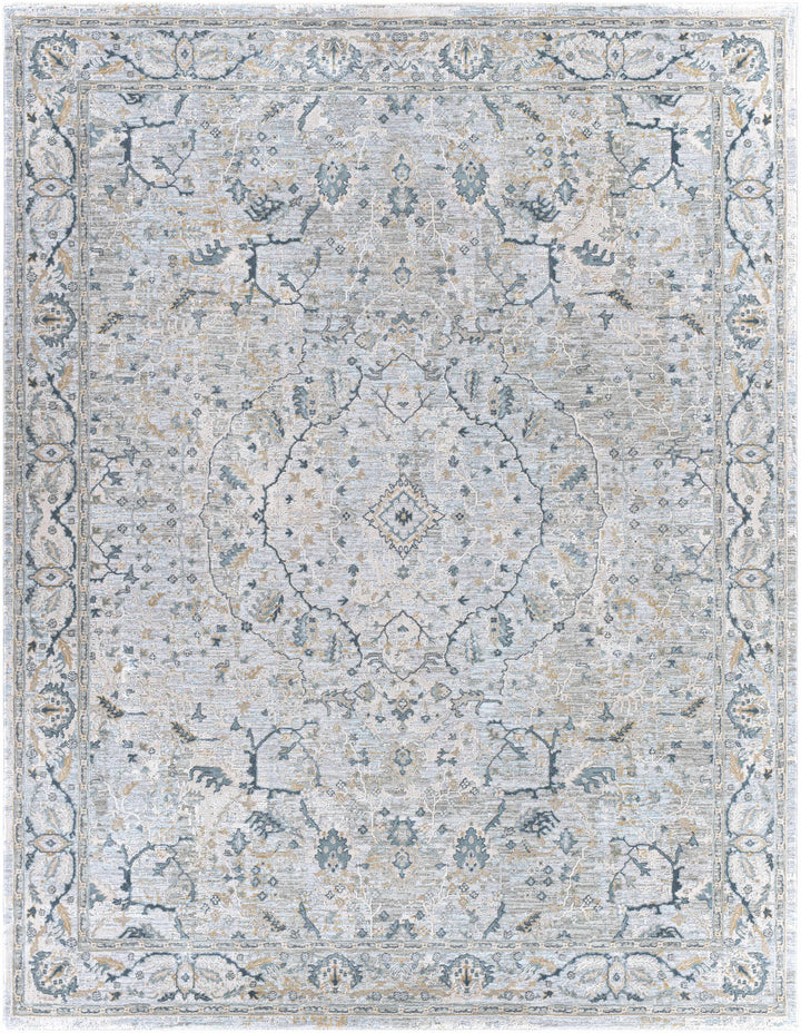 Bushnell Traditional Style Gray And Taupe Area Rug