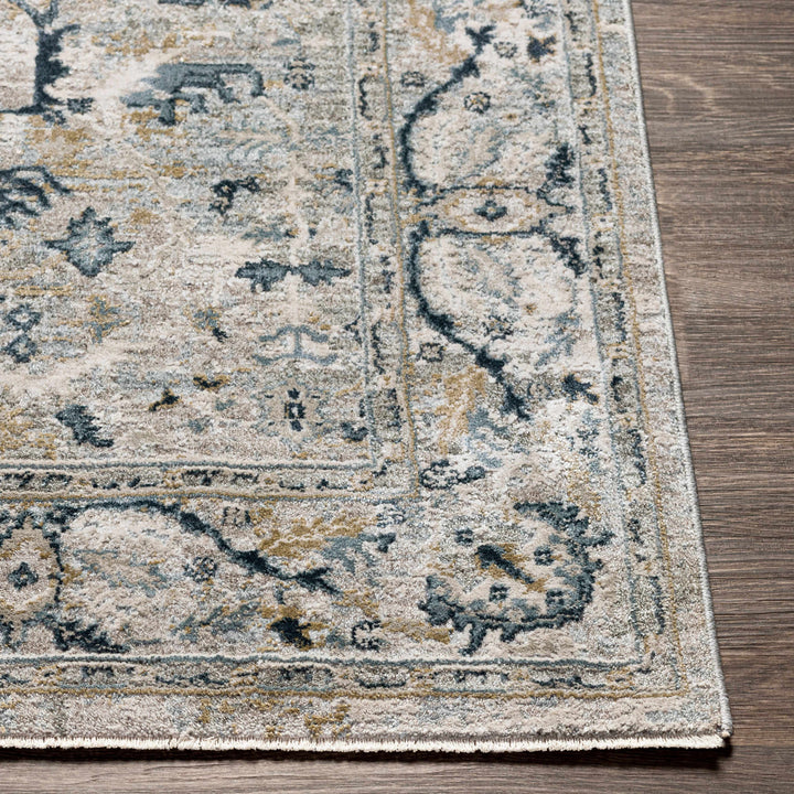 Bushnell Traditional Style Gray And Taupe Area Rug