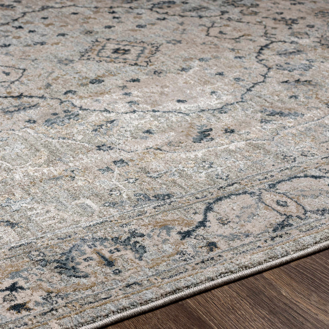 Bushnell Traditional Style Gray And Taupe Area Rug