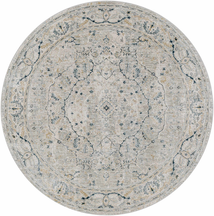 Bushnell Traditional Style Gray And Taupe Area Rug - The Rug Decor