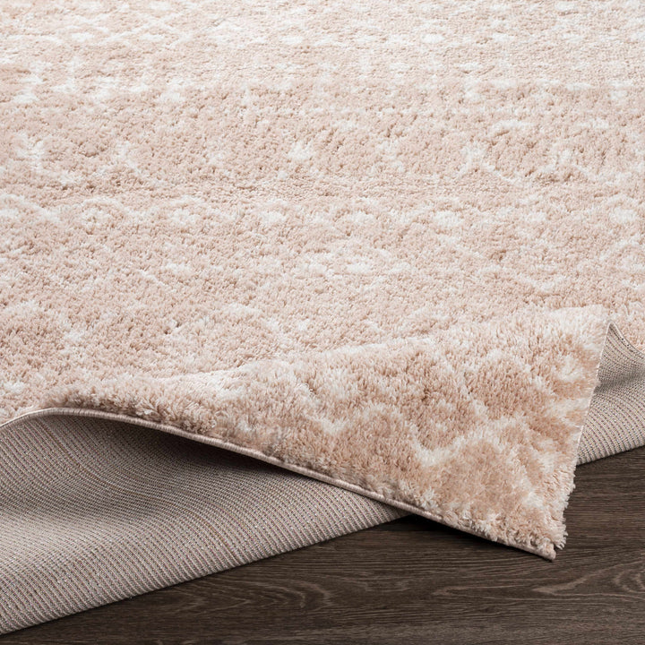 Box Peach Modern Style Area Rug
