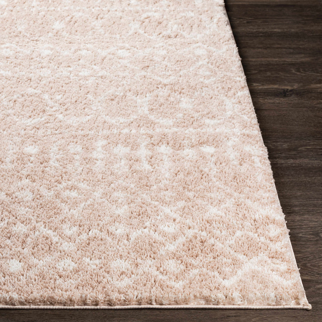 Box Peach Modern Style Area Rug