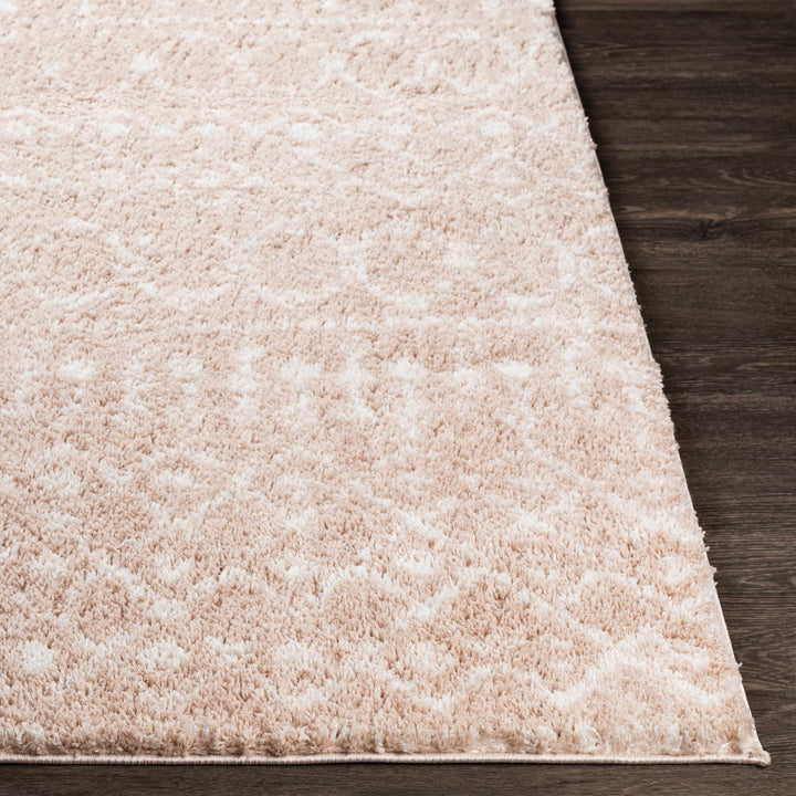 Box Peach Modern Style Area Rug