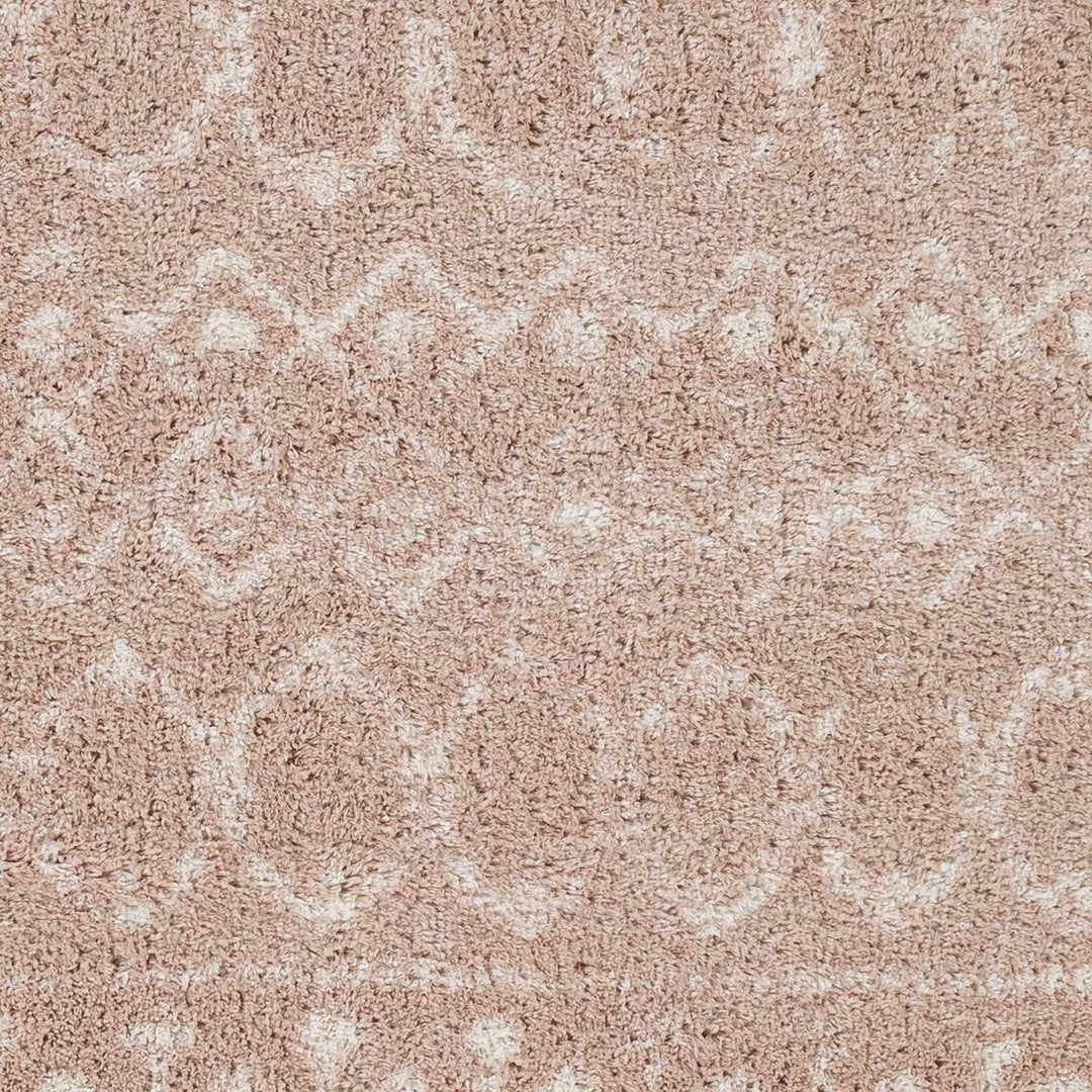 Box Peach Modern Style Area Rug