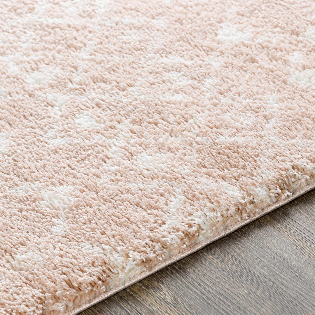 Box Peach Modern Style Area Rug