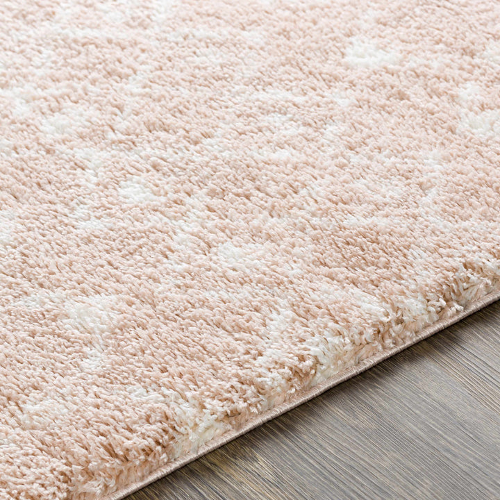 Box Peach Modern Style Area Rug