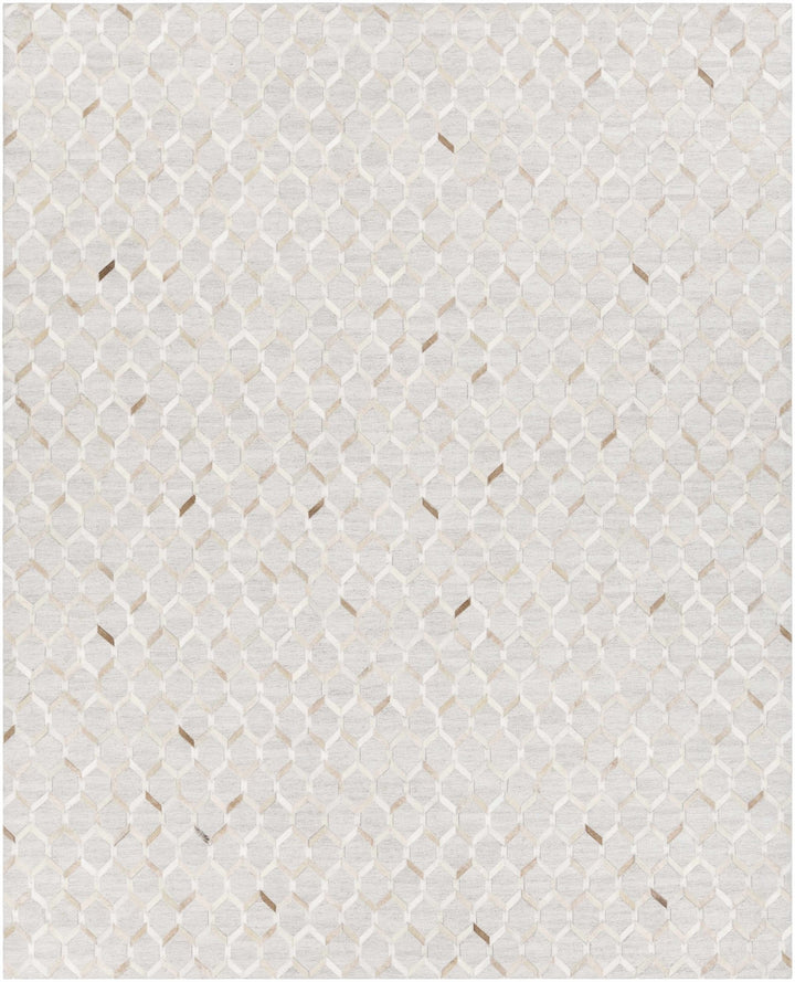 Byng Modern Style Gray And Beige Area Rug - The Rug Decor