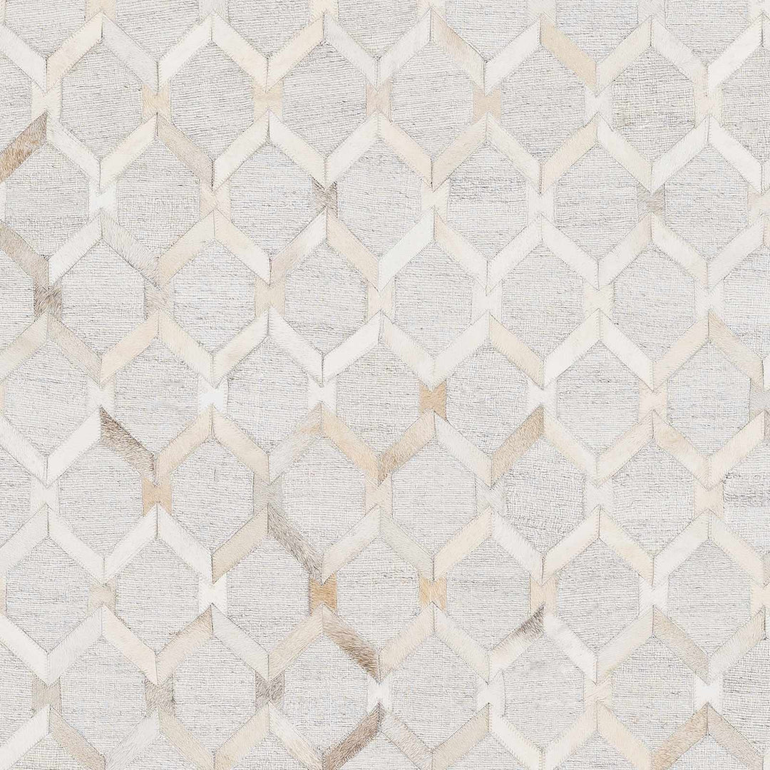 Byng Modern Style Gray And Beige Area Rug - The Rug Decor
