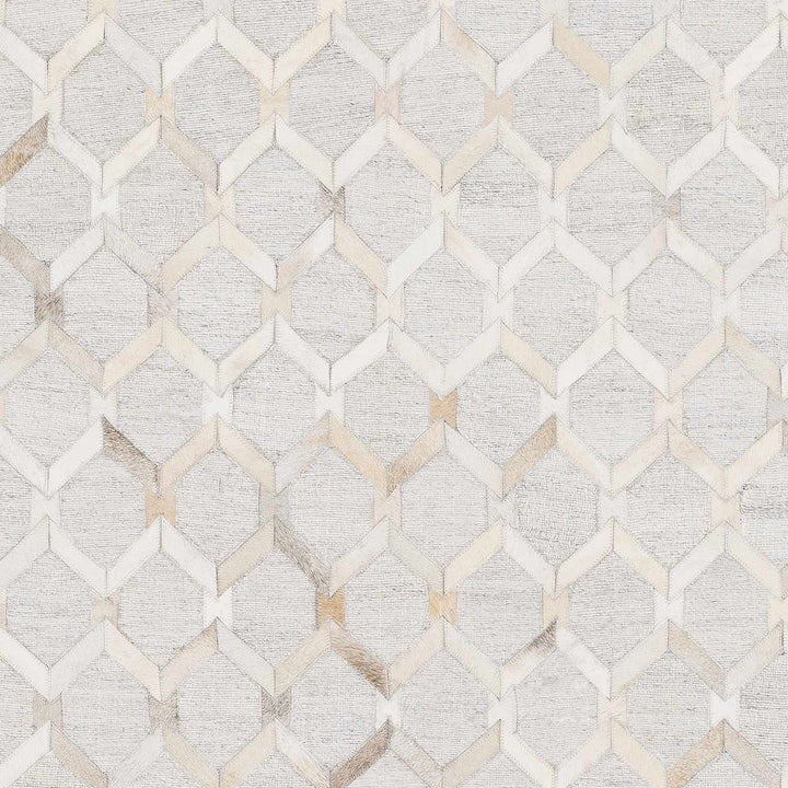 Byng Modern Style Gray And Beige Area Rug - The Rug Decor