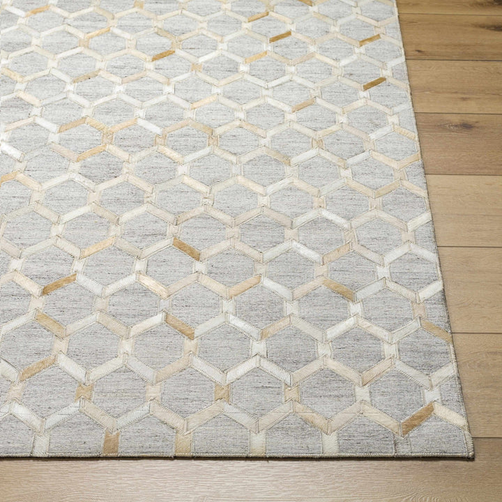 Byng Modern Style Gray And Beige Area Rug - The Rug Decor