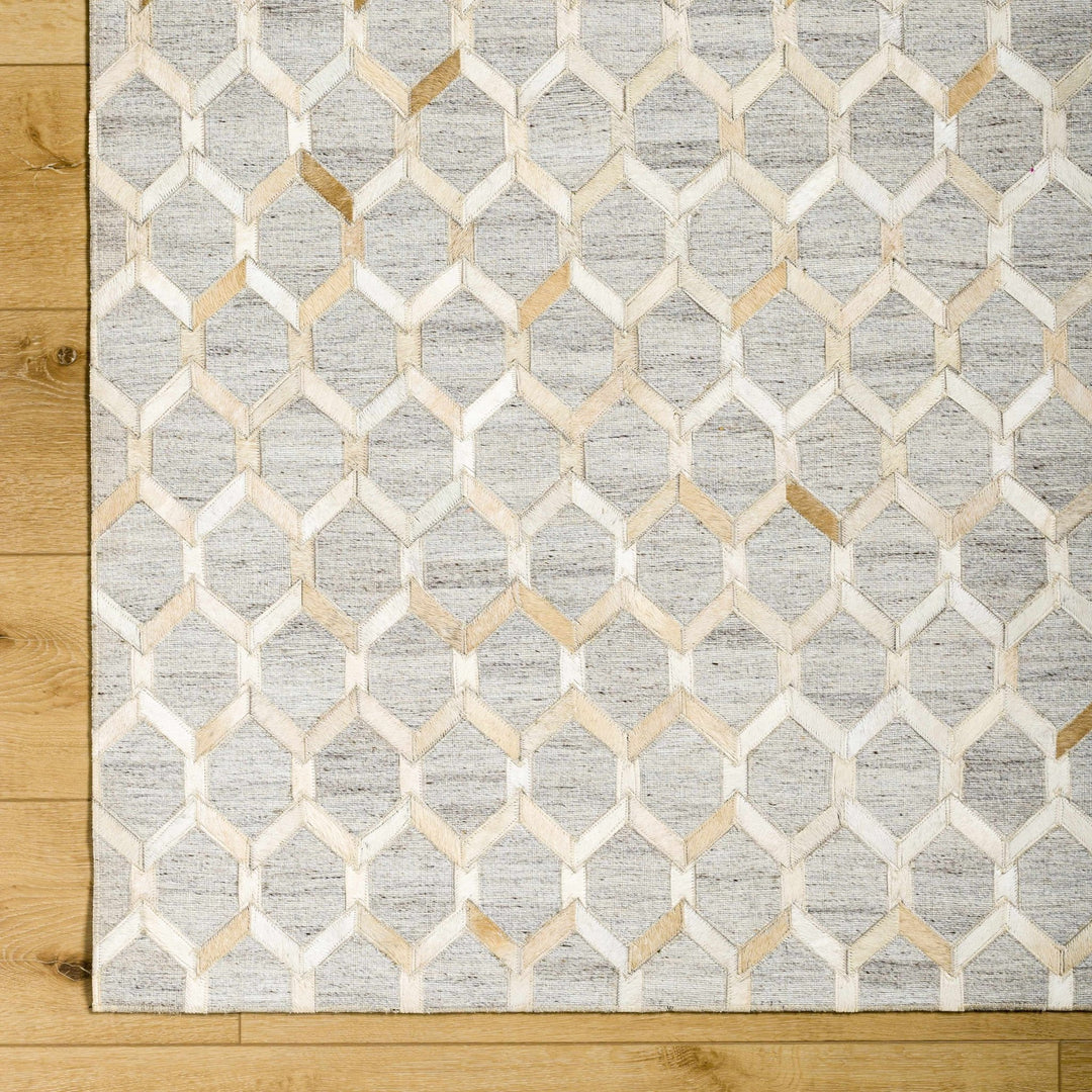 Byng Modern Style Gray And Beige Area Rug - The Rug Decor