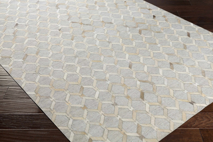 Byng Modern Style Gray And Beige Area Rug - The Rug Decor