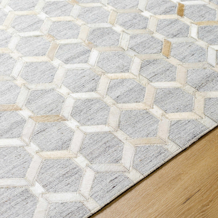Byng Modern Style Gray And Beige Area Rug - The Rug Decor