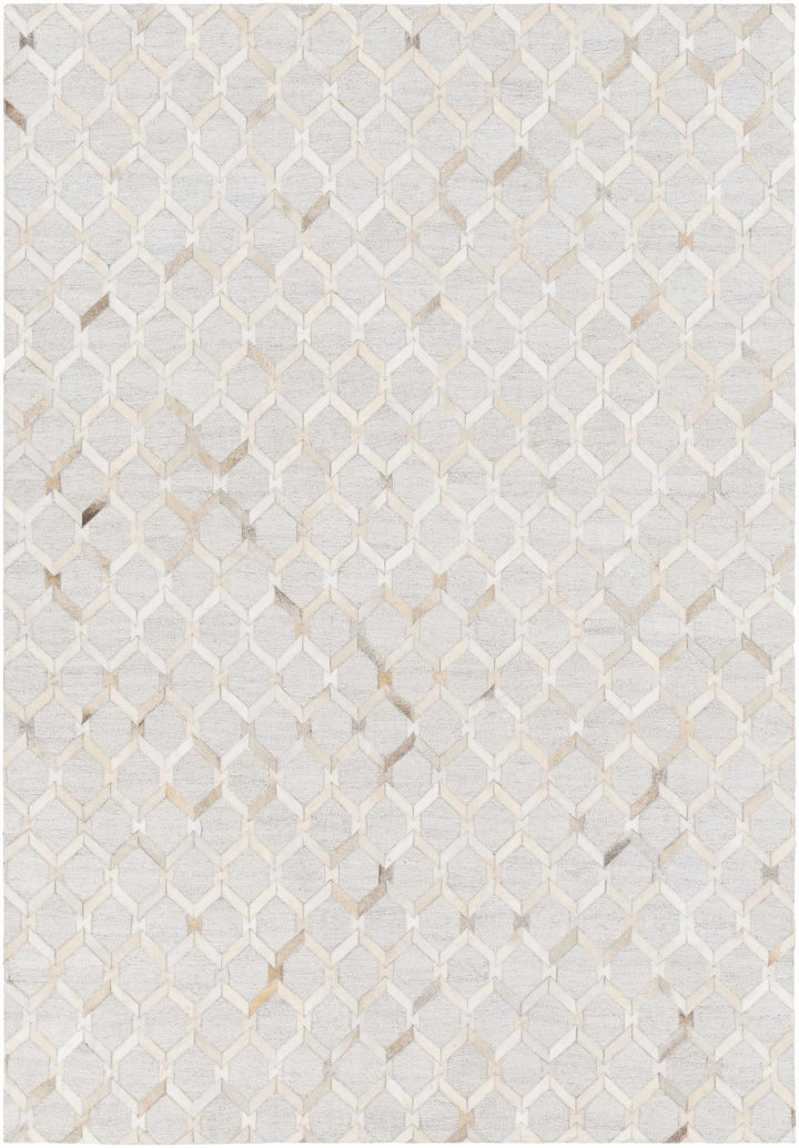 Byng Modern Style Gray And Beige Area Rug - The Rug Decor