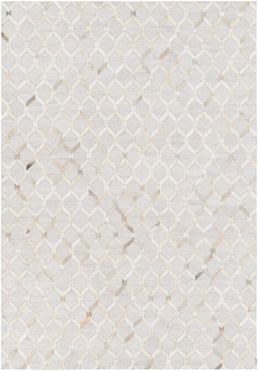 Byng Modern Style Gray And Beige Area Rug - The Rug Decor