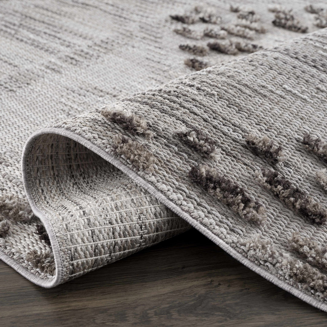 Cabarroguis Traditional Style Gray Area Rug - The Rug Decor