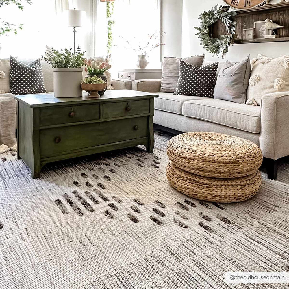 Cabarroguis Traditional Style Gray Area Rug - The Rug Decor