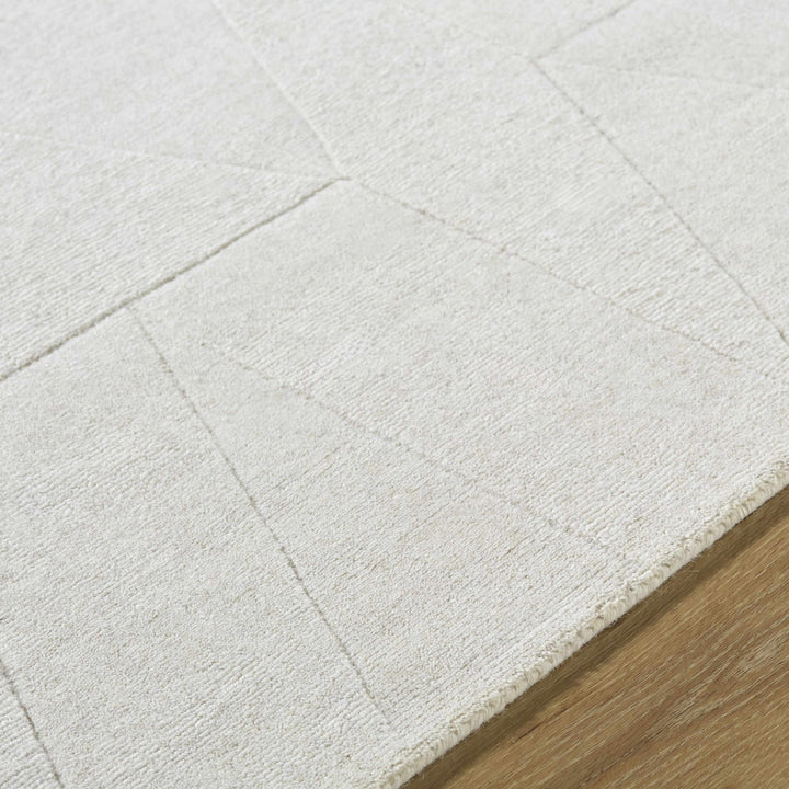 Callie Modern Abstract Gray Rug - The Rug Decor