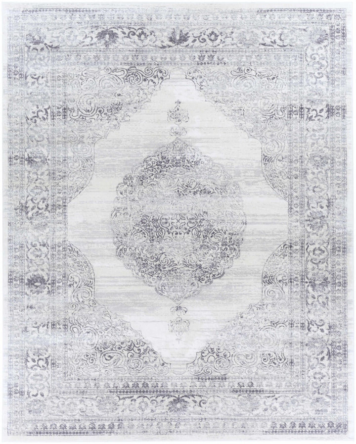 Caloundra Traditional Style Ivory And Gray Area Rug - The Rug Decor