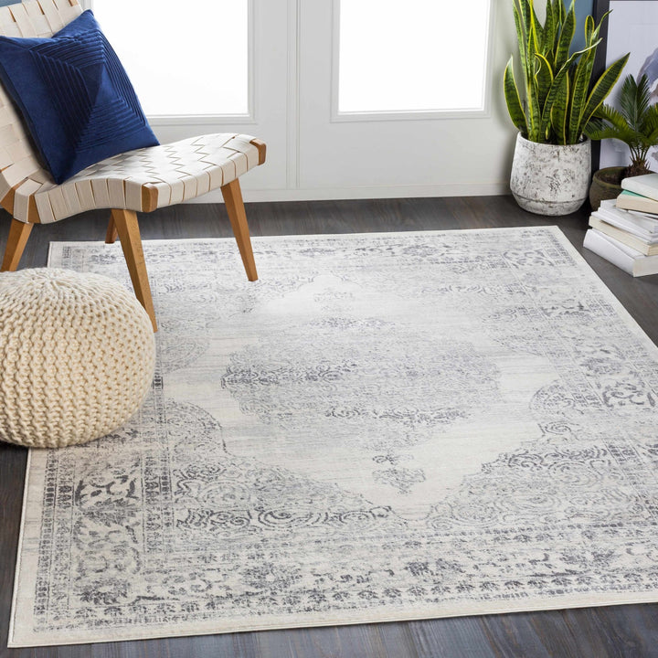 Caloundra Traditional Style Ivory And Gray Area Rug - The Rug Decor