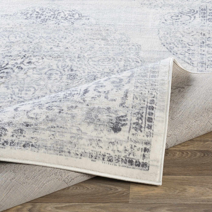 Caloundra Traditional Style Ivory And Gray Area Rug - The Rug Decor
