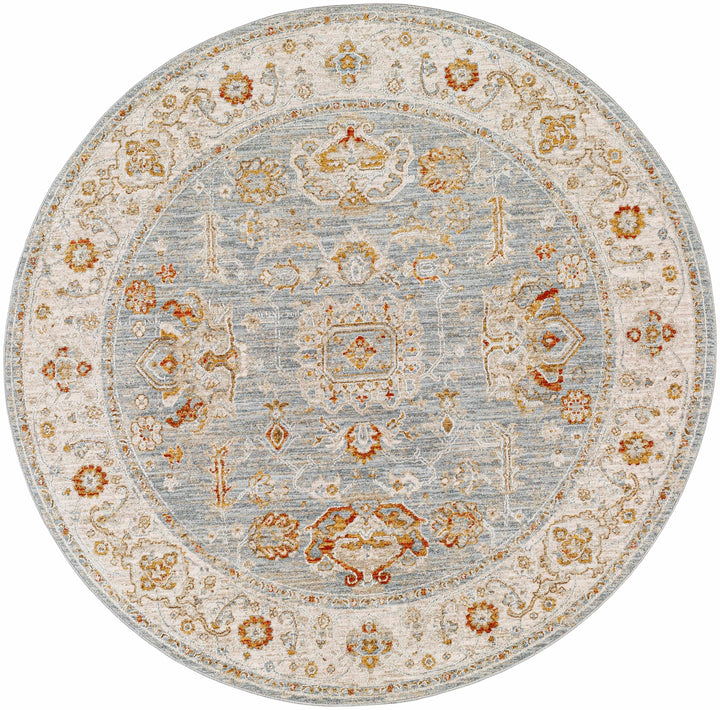 Camrose Blue And Ivory Traditional Style Area Rug
