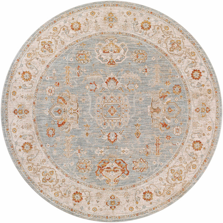 Camrose Blue And Ivory Traditional Style Area Rug