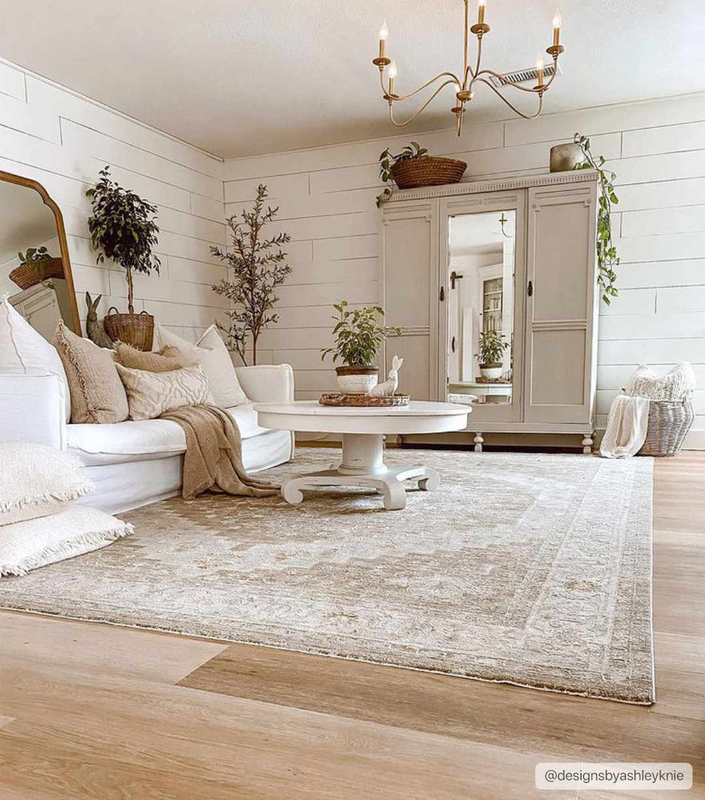 Canadensis Traditional Style Brown And Ivory Area Rug - The Rug Decor