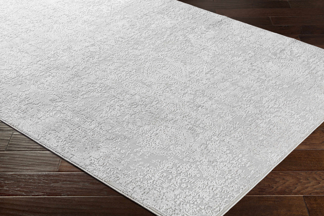 Canaseraga Traditional Style Gray And Ivory Area Rug
