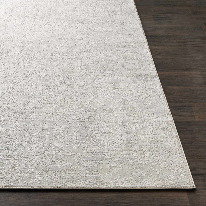 Canaseraga Traditional Style Gray And Ivory Area Rug