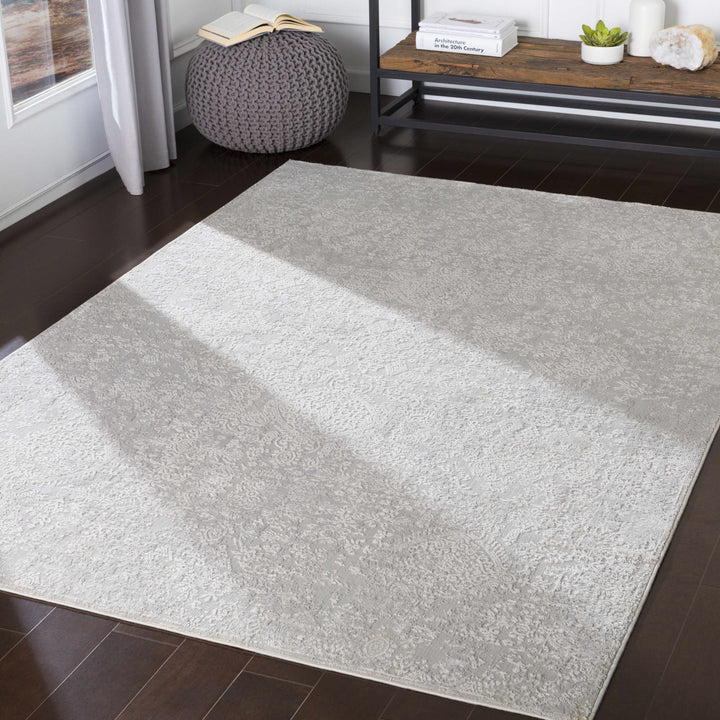 Canaseraga Traditional Style Gray And Ivory Area Rug
