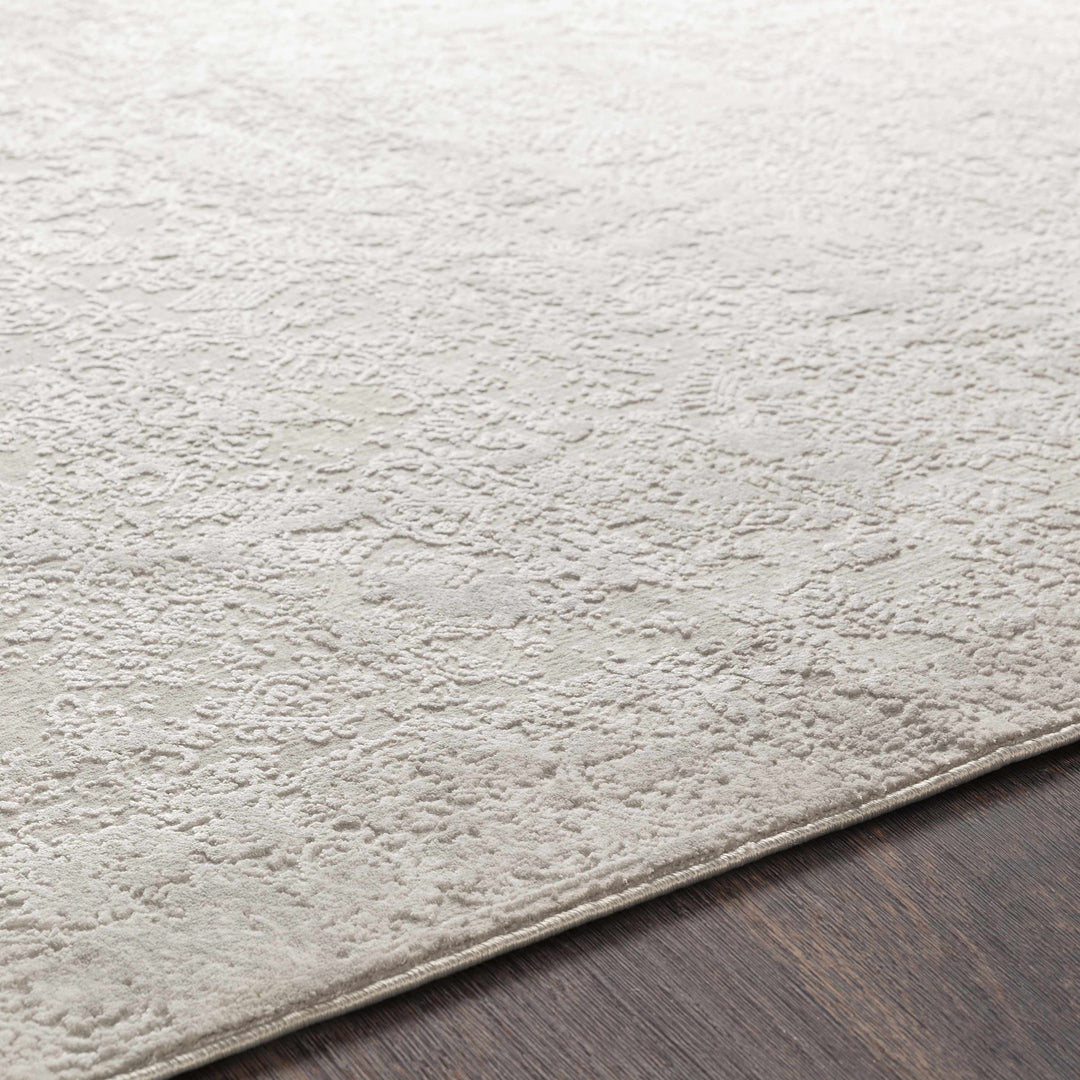 Canaseraga Traditional Style Gray And Ivory Area Rug