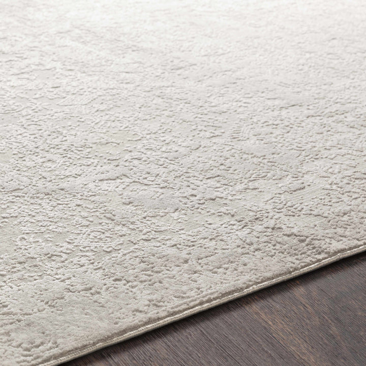 Canaseraga Traditional Style Gray And Ivory Area Rug