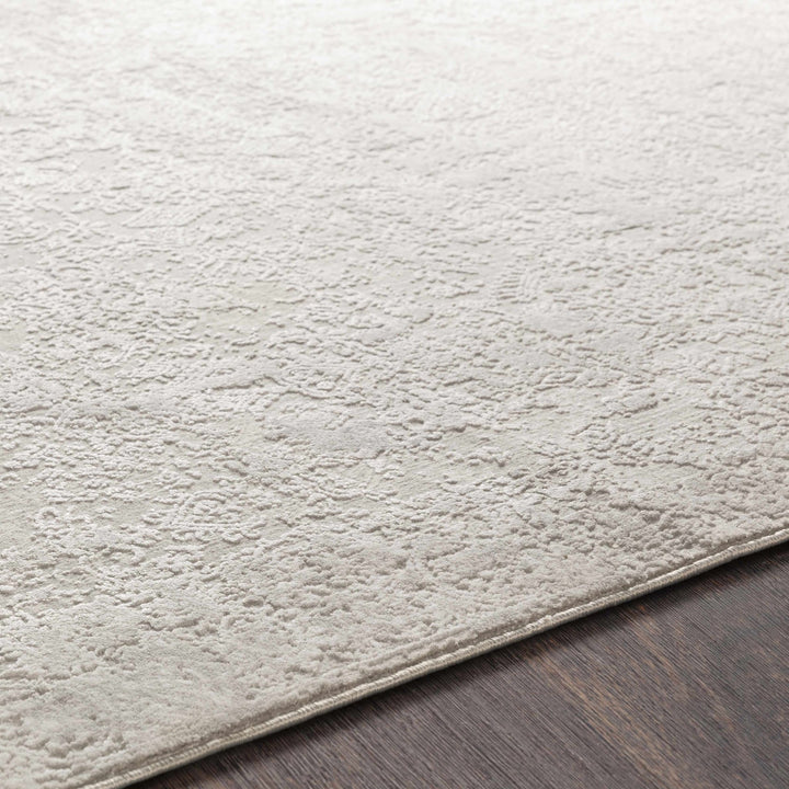 Canaseraga Traditional Style Gray And Ivory Area Rug - The Rug Decor