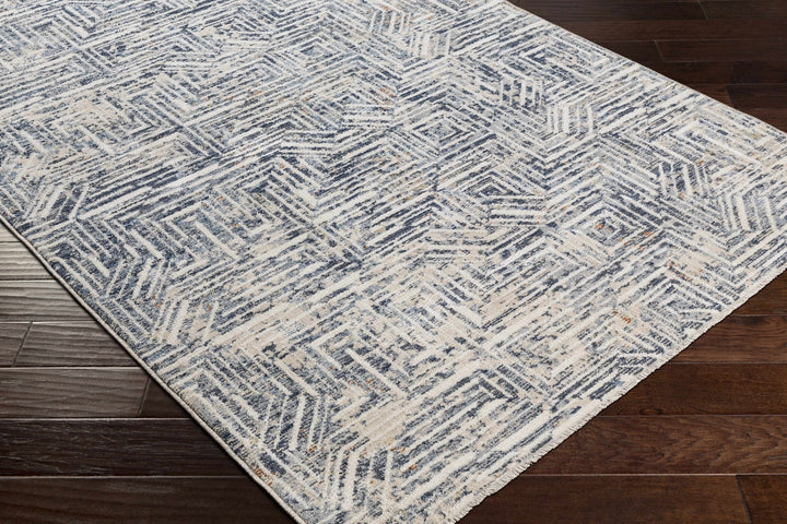 Capaga Contemporary Blue And Beige Area Rug - The Rug Decor