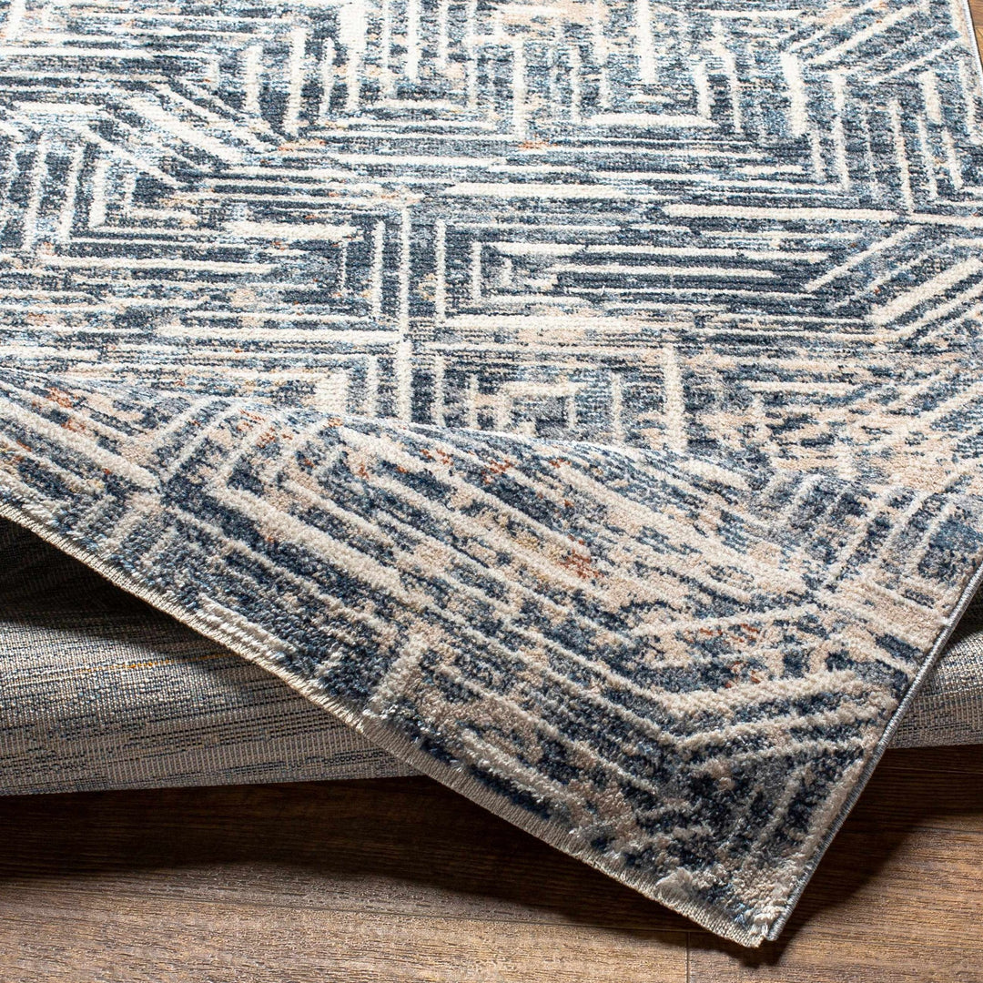 Capaga Contemporary Blue And Beige Area Rug - The Rug Decor