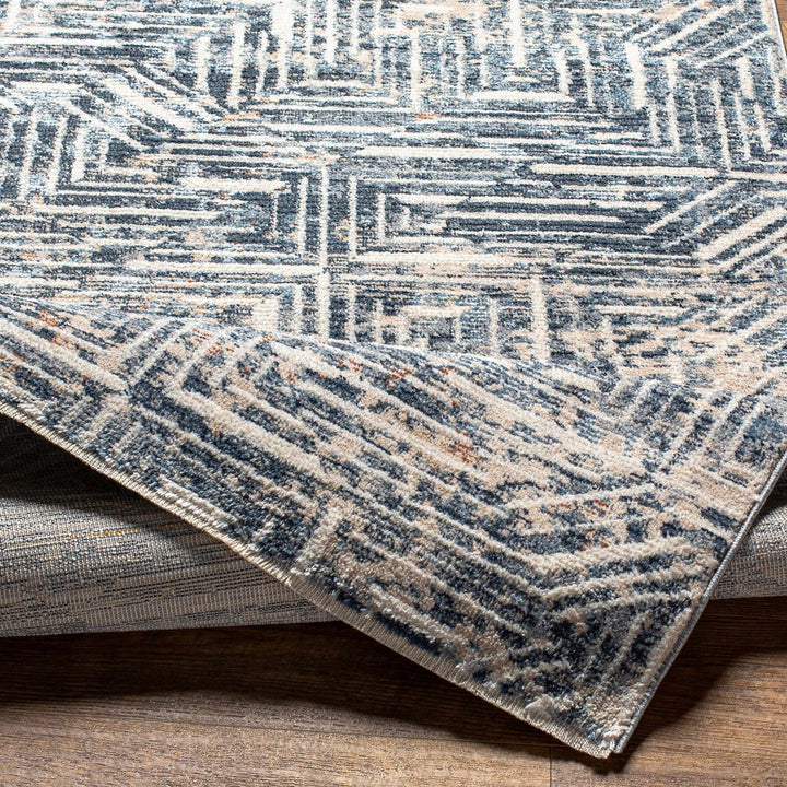 Capaga Contemporary Blue And Beige Area Rug - The Rug Decor