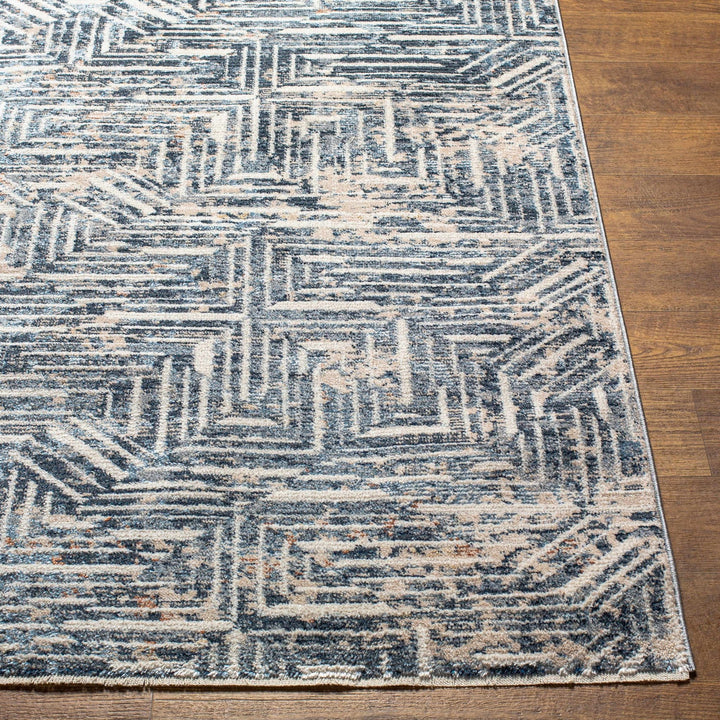 Capaga Contemporary Blue And Beige Area Rug - The Rug Decor